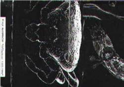 Black Mayonnaise : Collection 1992-1994